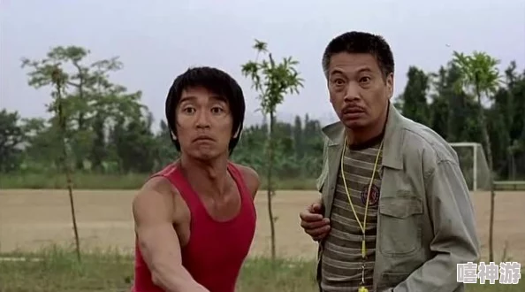 深入解析功夫少林手游VIP等级选择及各级价格特权