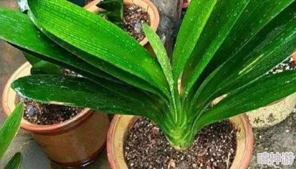 喷潮湿怎么办到的?了解喷潮湿现象的成因及应对措施,帮助你有效解决生活中的潮湿困扰 喷潮湿怎么办到的?了解喷潮湿现象的成因及应对措施,帮助你有效解决生活中的潮湿困扰