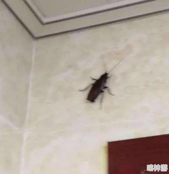 喷潮湿怎么办到的?了解喷潮湿现象的成因及应对措施,帮助你有效解决生活中的潮湿困扰 喷潮湿怎么办到的?了解喷潮湿现象的成因及应对措施,帮助你有效解决生活中的潮湿困扰