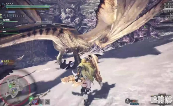 怪物猎人中哪个属性攻击对风飘龙最为有效？