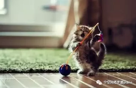 圣采儿跪地叫主人，展现出对主人的无尽忠诚与依赖，引发网友热议和讨论，感动了众多观众的心