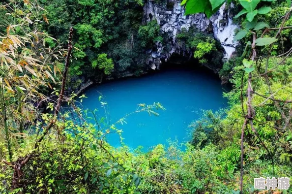 探索无根之水的来源与介绍:寻找自然中的神秘水源 探索无根之水的来源与介绍:寻找自然中的神秘水源