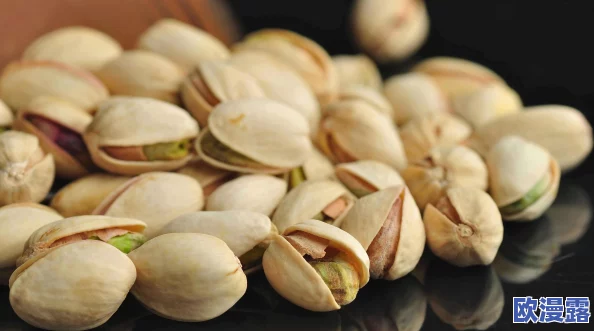 胡桃座旅行者吃胡萝卜,分享独特的美食体验与旅途中的趣事,引发网友热议和关注 胡桃座旅行者吃胡萝卜,分享独特的美食体验与旅途中的趣事,引发网友热议和关注