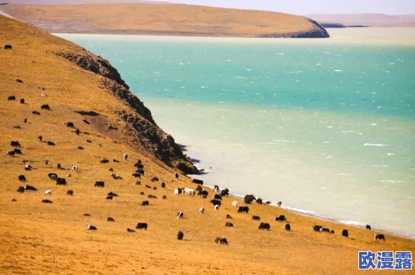 王者荣耀国庆庆典：如何免费获取限定皮肤详细攻略