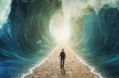 雷电将军被c，泪别同行者，沉浸在万千思绪里，重新审视自己的选择与命运走向