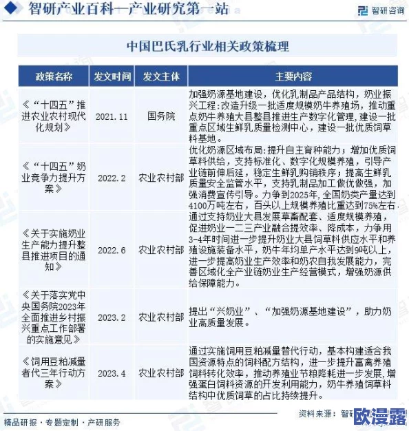 YP网站进入进口市场的战略分析与发展前景研究：机遇、挑战及应对措施探讨