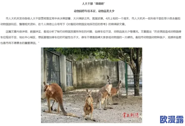 欧美人与禽交:探讨西方文化中关于人类与动物关系的争议及其对社会伦理的影响 欧美人与禽交:探讨西方文化中关于人类与动物关系的争议及其对社会伦理的影响