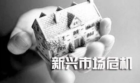 姐姐破产了：探讨金融危机对家庭的影响及如何走出经济困境的有效策略与建议