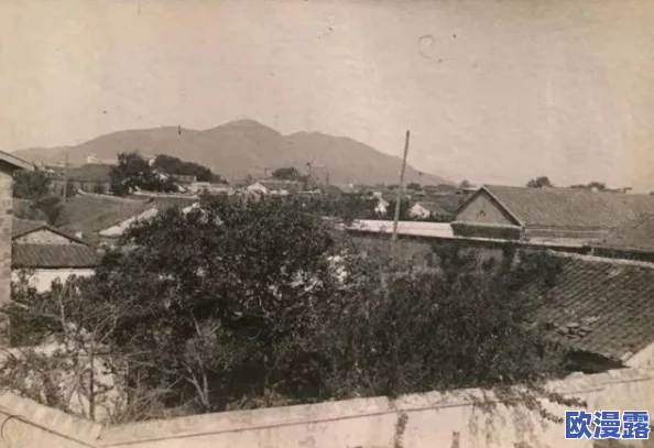 真人实拍高清wwwwww，令人震惊的内幕曝光，后台操作竟涉及惊人秘密，真相让人瞠目结舌！