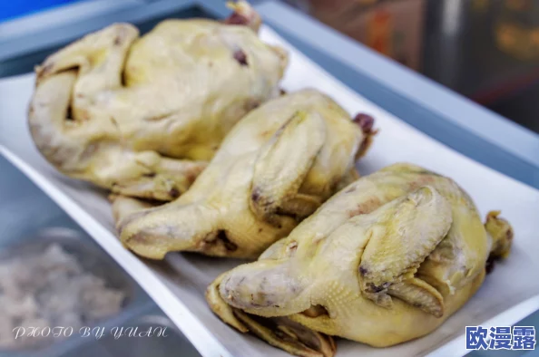 阿姨让人垂涎三尺的身体令：探讨中年女性如何通过健康生活方式和自信展现出迷人的魅力与吸引力