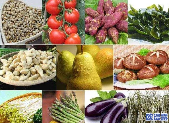 果冻52部：了解果冻的历史、制作方法、营养成分及其在现代食品中的应用