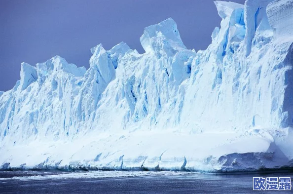 航海王热血航线：全面攻略！如何获取无尽航程中的强力角色黑胡子