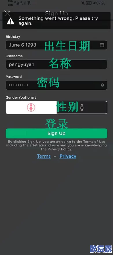 ROBLOX游戏运行时频繁出现白屏问题的可能原因分析