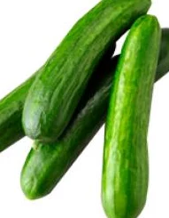 甘雨用黄瓜自己出牛奶可以吗?震惊!科学家发现蔬菜也能“产奶”,挑战传统理解! 甘雨用黄瓜自己出牛奶可以吗?震惊!科学家发现蔬菜也能“产奶”,挑战传统理解!