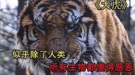 四虎影片：了解这一网络影视资源平台的起源、影响及其在当代社会文化中的角色与发展趋势