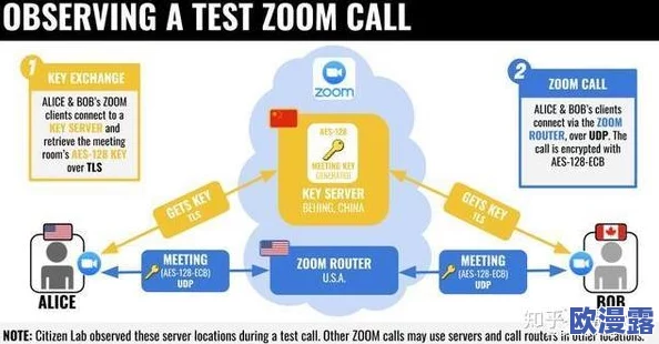 日本Zoom与国产Zoom对比:令人震惊的用户体验差异,谁才是视频会议的真正王者? 日本Zoom与国产Zoom对比:令人震惊的用户体验差异,谁才是视频会议的真正王者?