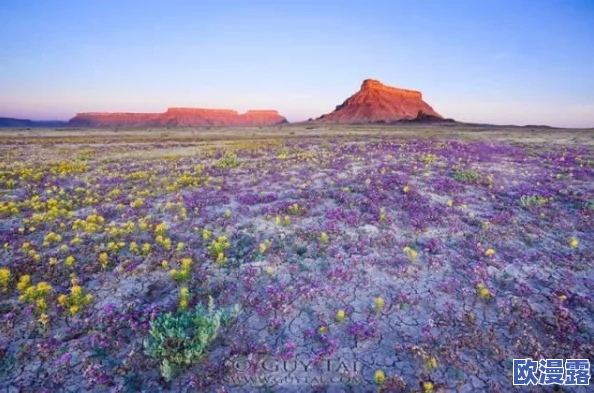 野花社区＂惊现罕见生物，科学家紧急赶往现场进行深入研究，社区居民纷纷围观，局势引发热议！