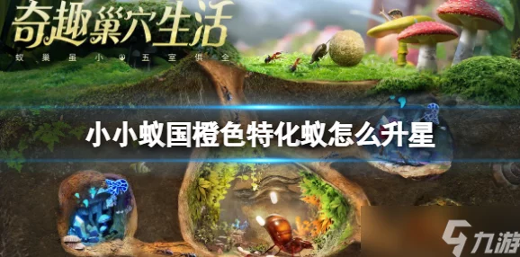 《小小蚁国》前期橙色特化蚁高效培养全攻略：揭秘打造无敌强大蚁群的秘诀