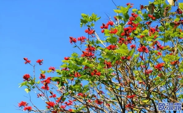 除了x玩具还可以用什么替代？居然有这些让你大开眼界的替代品！