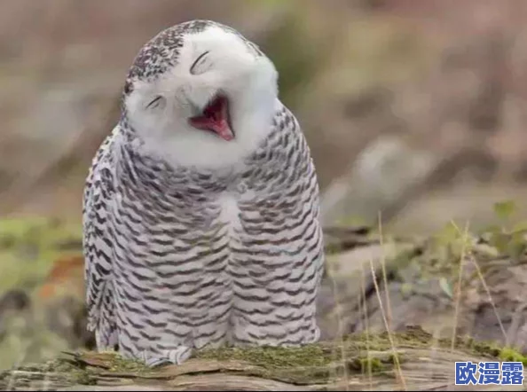 黑神话悟空战斗技巧：急如火快如风，掌握制胜秘诀攻略