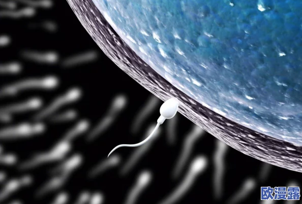 体内精69XXXXXx：深度分析精子质量对男性生育力的影响及改善方法