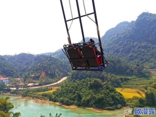 1极速版：全新升级的版本，带来更快的性能和更流畅的用户体验，让你在使用过程中感受到前所未有的速度与便捷
