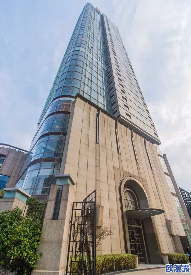 嘼交Ⅴideos：深入了解这一现象背后的文化意义与社会影响，探讨其在当代网络环境中的流行原因及相关问题