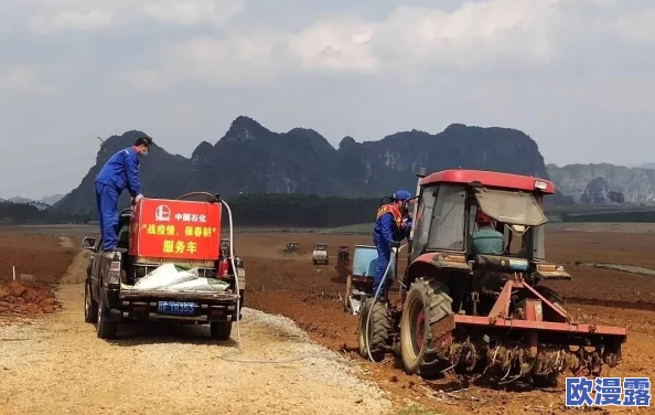 辐射4中哪个角色更易于打造成为强力或独特存在的角色分析