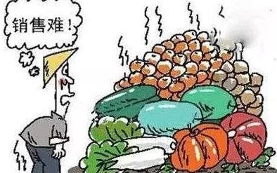 拔萝卜痛又降黄9 1：探讨农村经济发展的挑战与机遇，如何突破传统农业的瓶颈与创新模式