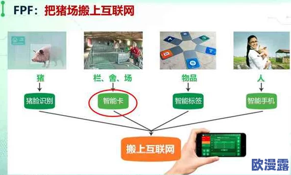 人马畜禽CORPORATION康诺推出全新智能养殖系统，助力现代农业转型升级与可持续发展