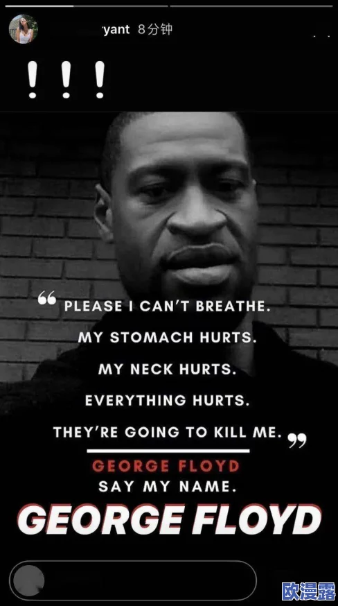 震惊！高清性欧美暴力猛交黑人免费视频引发热议，网友纷纷讨论其背后的社会问题与文化影响！