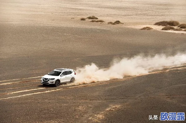 日产精品无人区：网友热议未来出行新选择，期待更多创新与环保技术的结合！