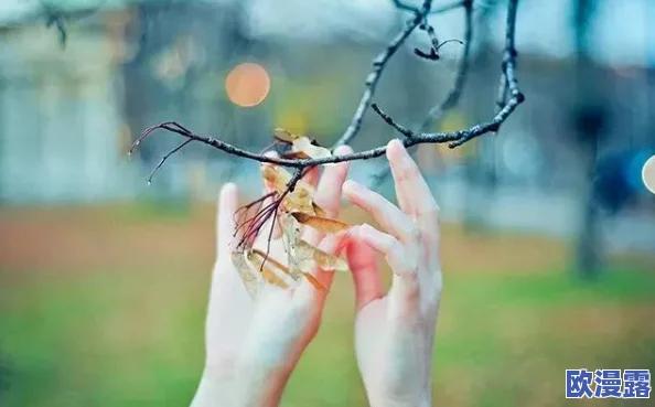 梦境食旅兑换码全解析:最新大全及获取方法详解 梦境食旅兑换码全解析:最新大全及获取方法详解