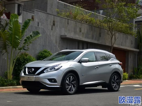 日产国产亚洲A:解析其设计理念、市场定位与未来发展趋势,及对消费者需求的深度回应与创新技术的应用 日产国产亚洲A:解析其设计理念、市场定位与未来发展趋势,及对消费者需求的深度回应与创新技术的应用