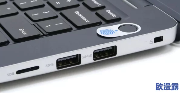 震惊！xaxwaswaswasxilxiserikkino评测竟然揭示了不为人知的秘密，颠覆了我们对游戏的认知！