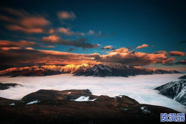 震惊！免费高清特黄a大片竟然引发了全国观众的热议，背后隐藏着不为人知的秘密！
