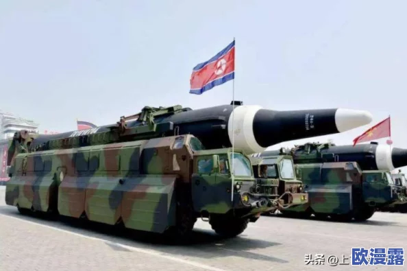 迷雾大陆火箭雨全面攻略整合：解锁高效通关技巧与策略