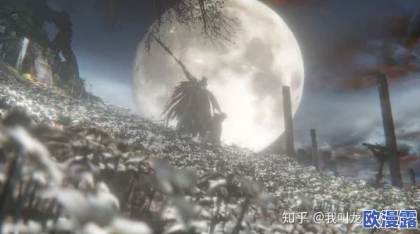 比较分析：怪物猎人系列与血源诅咒哪个游戏难度更高？