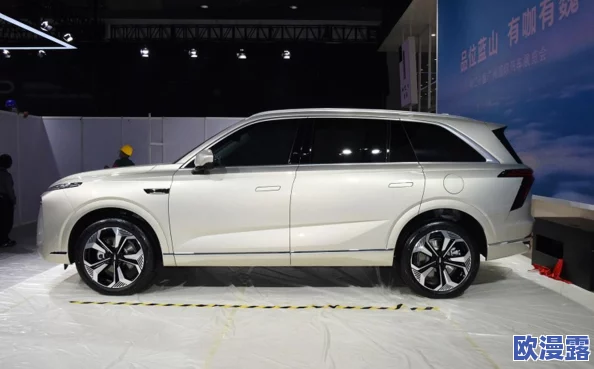 办公室欧美大尺寸SUV：2023年最新款车型对比及选购指南，满足不同需求与驾驶体验