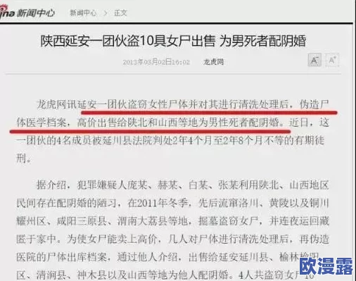 17c网黑：揭示网络安全威胁与网络黑色产业链的暗黑面貌及其对社会的影响与应对措施