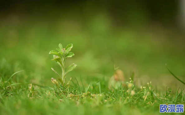 久草精品在线播放＂引发热议，网友惊呼：这部作品竟然隐藏了如此深刻的社会寓意！