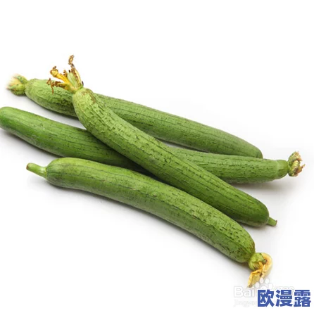 丝瓜Aaa：最新研究揭示其在健康饮食中的潜力与应用，助力提升生活质量的科学依据与实践建议