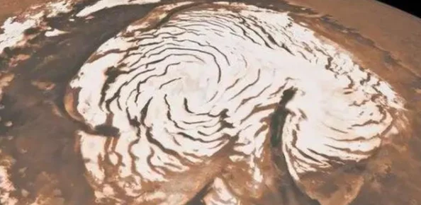 东北大坑之初试云雨,惊现神秘生物与科学怪现象,震撼全场引发热议! 东北大坑之初试云雨,惊现神秘生物与科学怪现象,震撼全场引发热议!