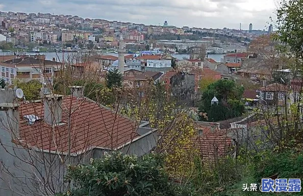 皇室战争Leon深度解析:5月竞技场环境变化及高效冲杯策略建议 皇室战争Leon深度解析:5月竞技场环境变化及高效冲杯策略建议