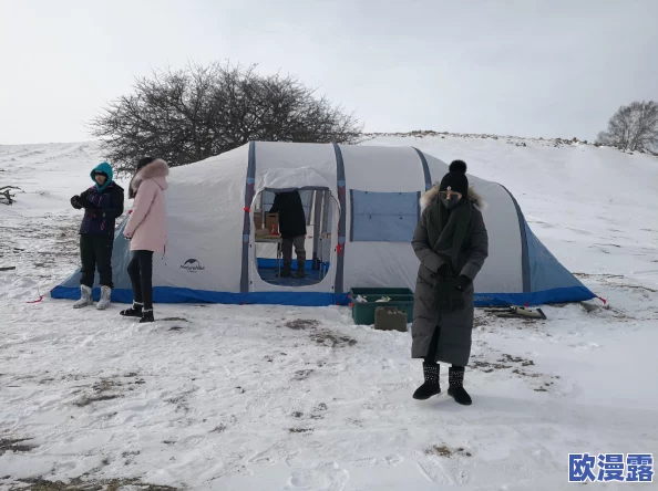 第五人格雪地地图详细攻略:发电机固定刷新位置全解析(两台必知) 第五人格雪地地图详细攻略:发电机固定刷新位置全解析(两台必知)