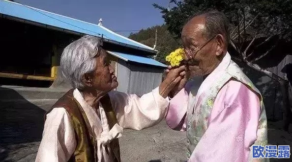 俄罗斯胖老太与小伙交：跨代恋情引发的社会话题与文化冲突分析