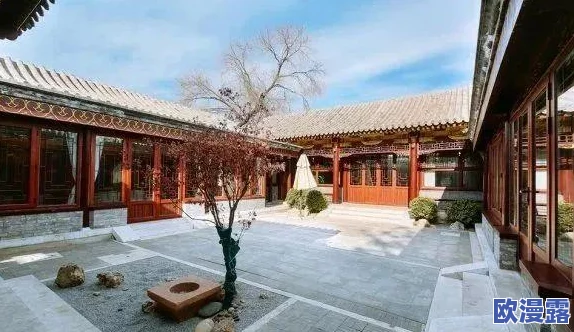 《我的世界》高效种植树木秘籍：快速种树技巧与策略分享