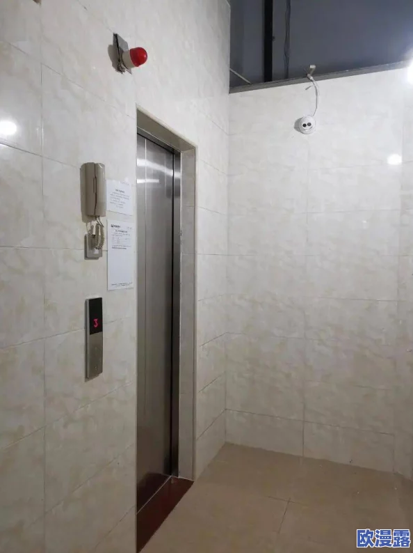 电梯门梅花二度电梯门：新技术应用提升安全性与便捷性，助力城市智能化发展再上新台阶