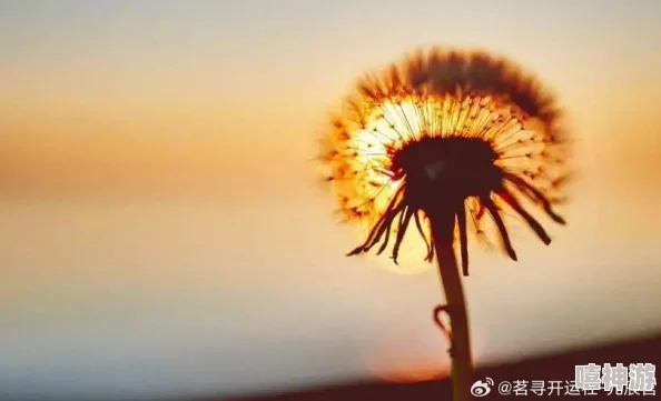 强开嫩花苞太紧了,如何在生活中找到平衡与放松的艺术,让心灵得到真正的释放与舒展? 强开嫩花苞太紧了,如何在生活中找到平衡与放松的艺术,让心灵得到真正的释放与舒展?