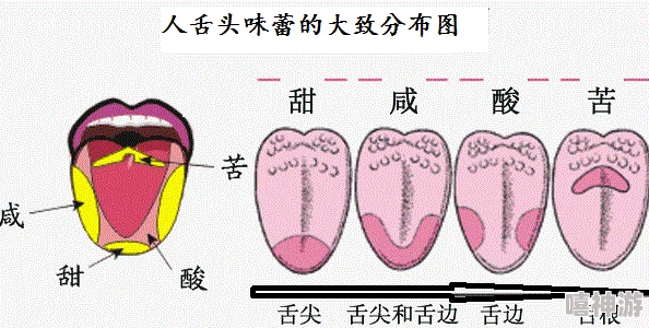 舌头在幽谷里滑来滑去怎么回事?或许是自然现象与生物行为的奇妙结合,值得深入思考和探讨 舌头在幽谷里滑来滑去怎么回事?或许是自然现象与生物行为的奇妙结合,值得深入思考和探讨